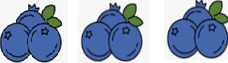 Blue Berries