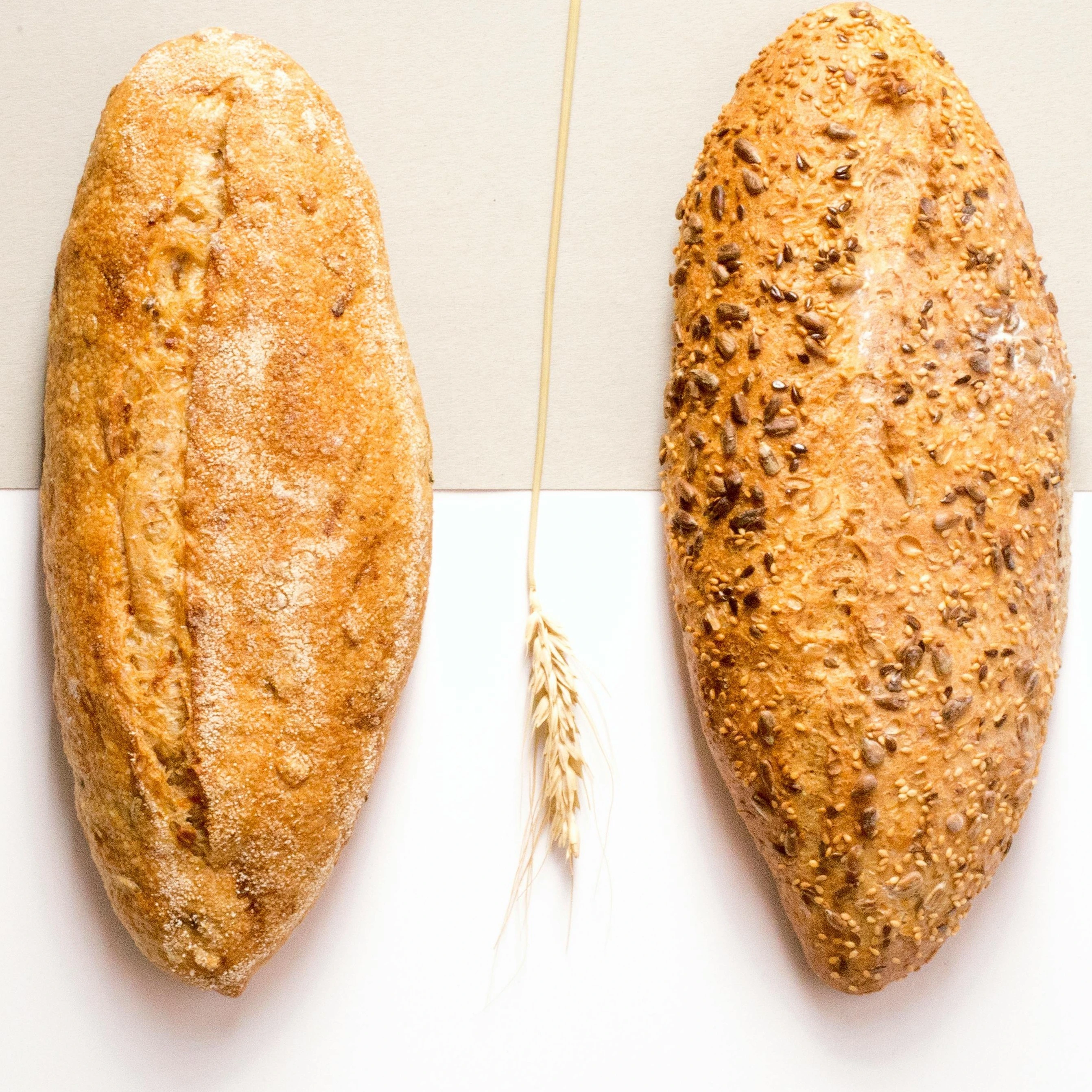 Bread